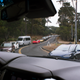 Image for article titled What It's Like In The World's Most Expensive Traffic Jam